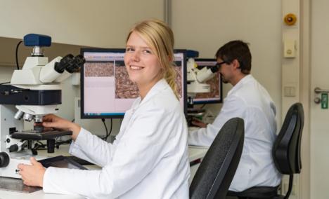 AWT-Projektdatenbank